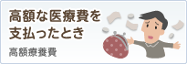 高額な医療費を支払ったとき：高額療養費