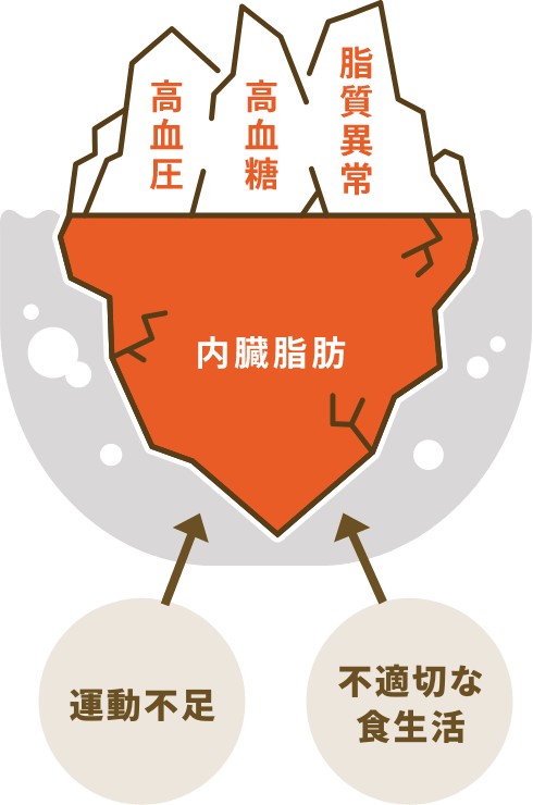 図：内臓脂肪