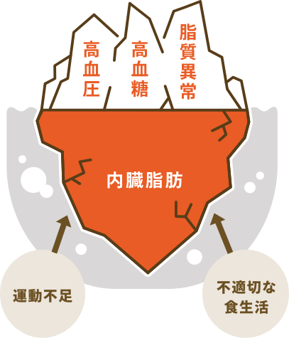 図：内臓脂肪