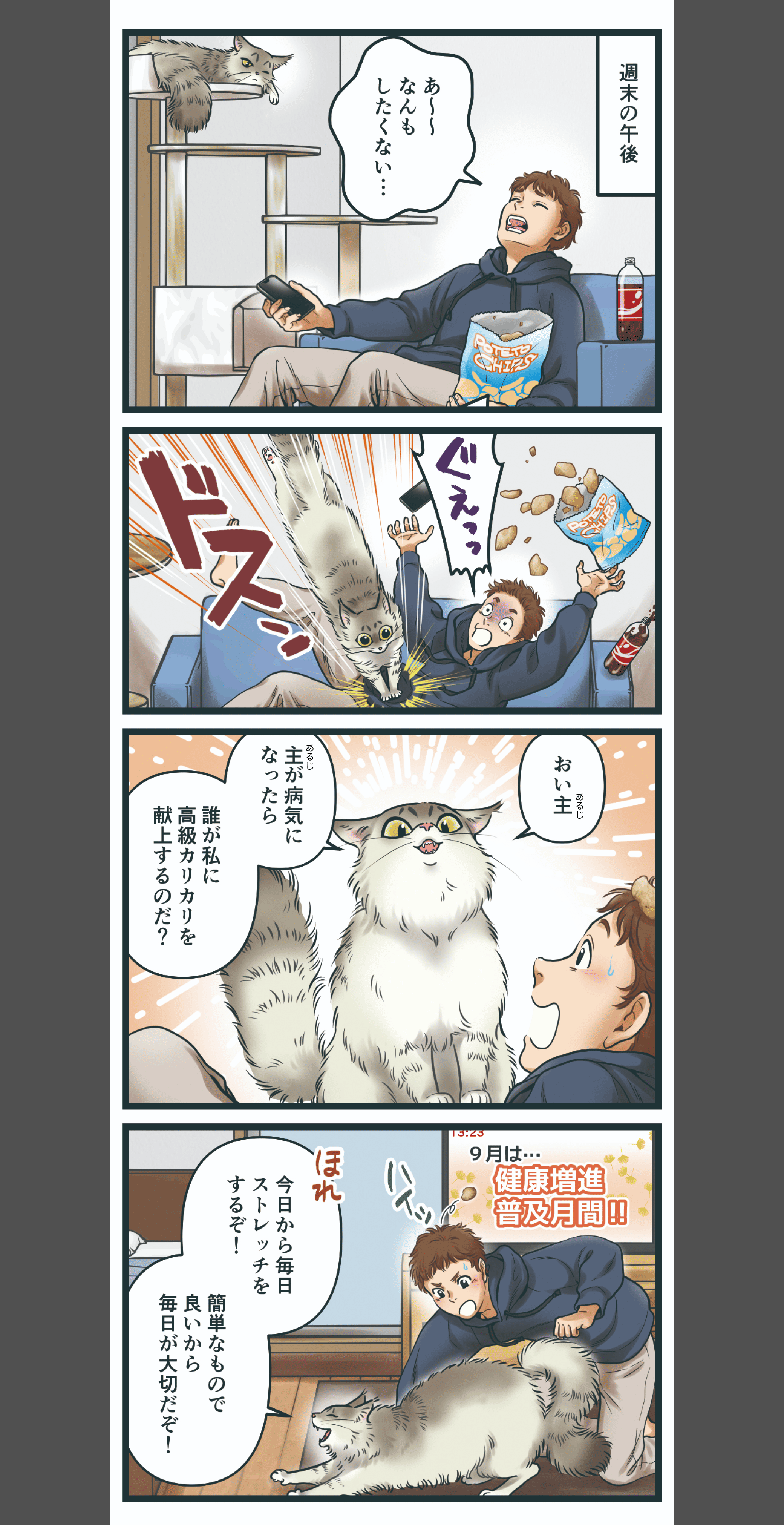 【愛猫のスパルタ指導】「私が困るから運動しろ!」ズボラ飼い主のための1分間ストレッチ