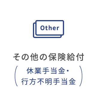 その他の保険給付（休業手当金・行方不明手当金）