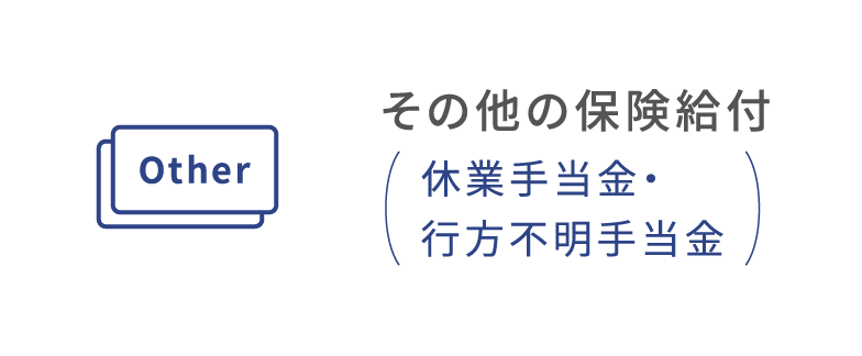 その他の保険給付（休業手当金・行方不明手当金）