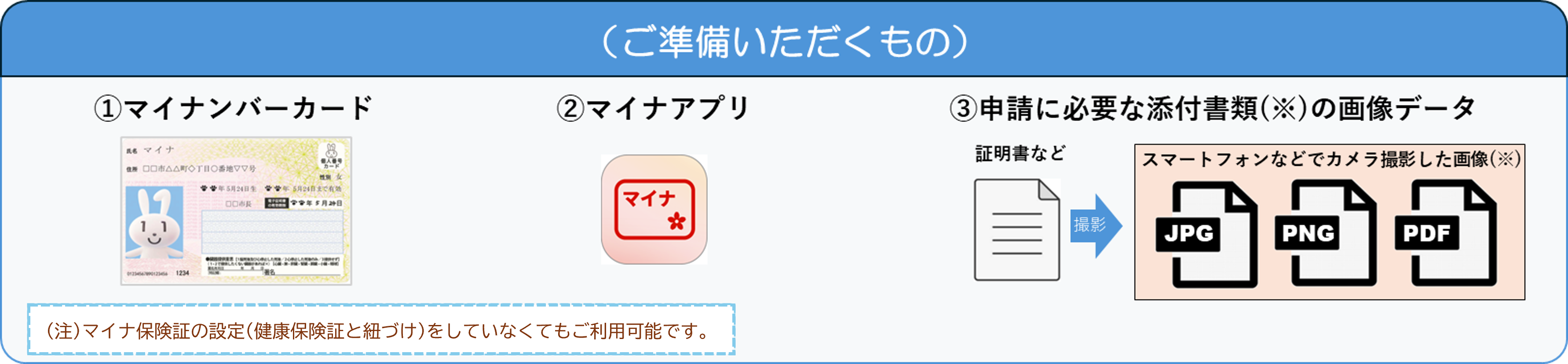 electronic_application/kanyusha_prepare