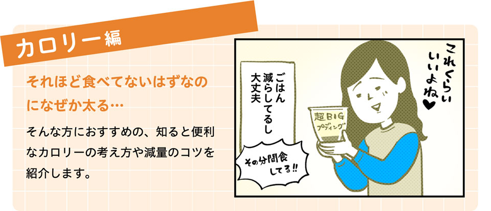 さくっと分かるカロリーの話編