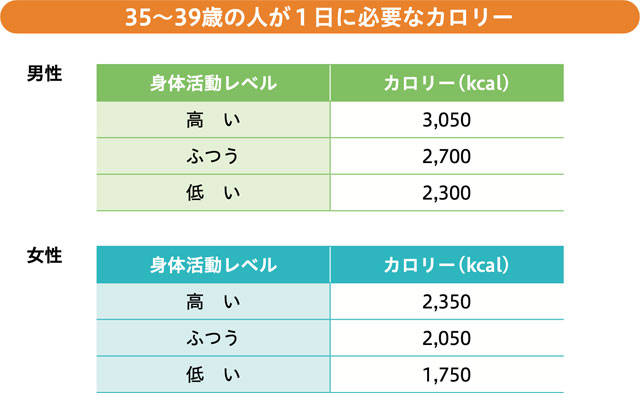 35〜39歳の人が1日に必要なカロリー