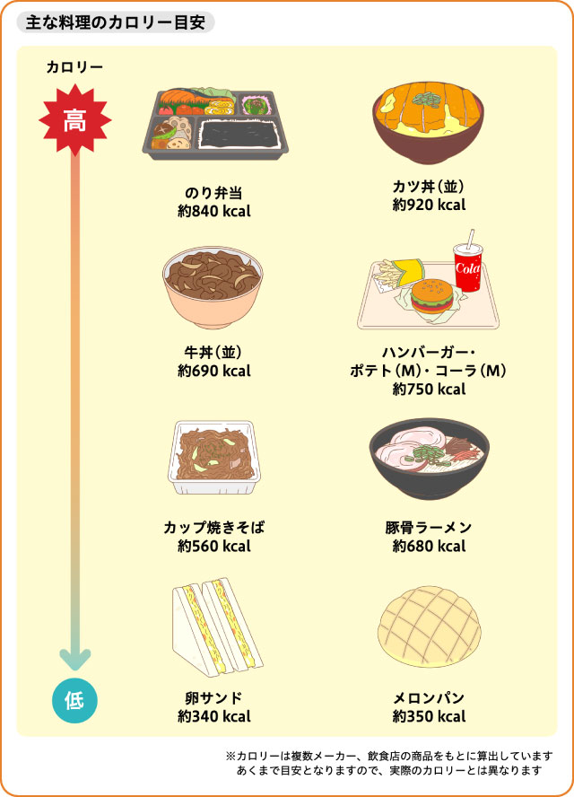 主な料理のカロリー目安