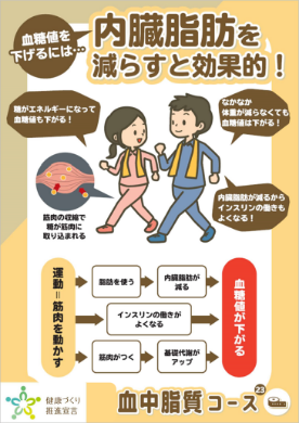 血糖値を下げるには･･･内臓脂肪を減らすと効果的！