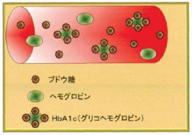 健口コラムR25月画像１