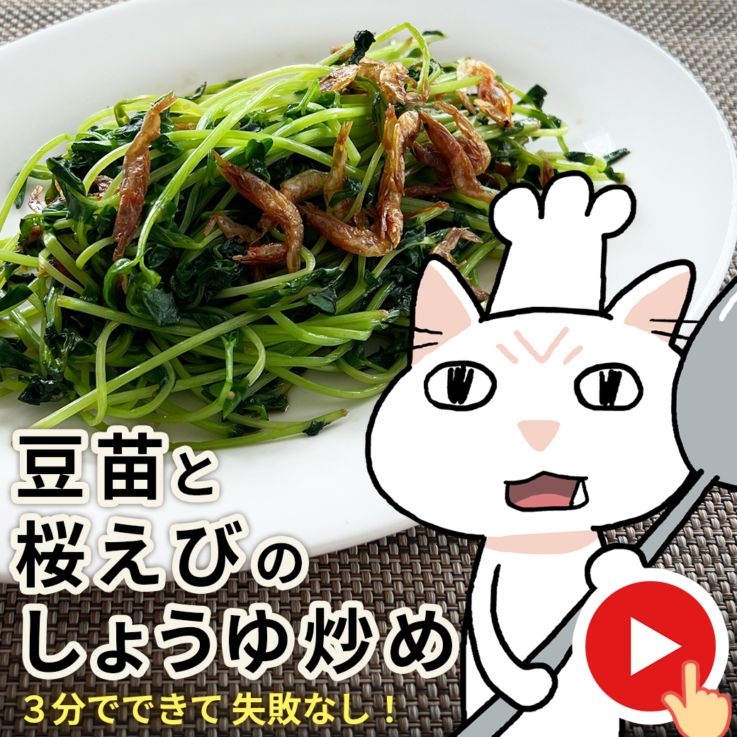 時短レシピバナー（R7.6）