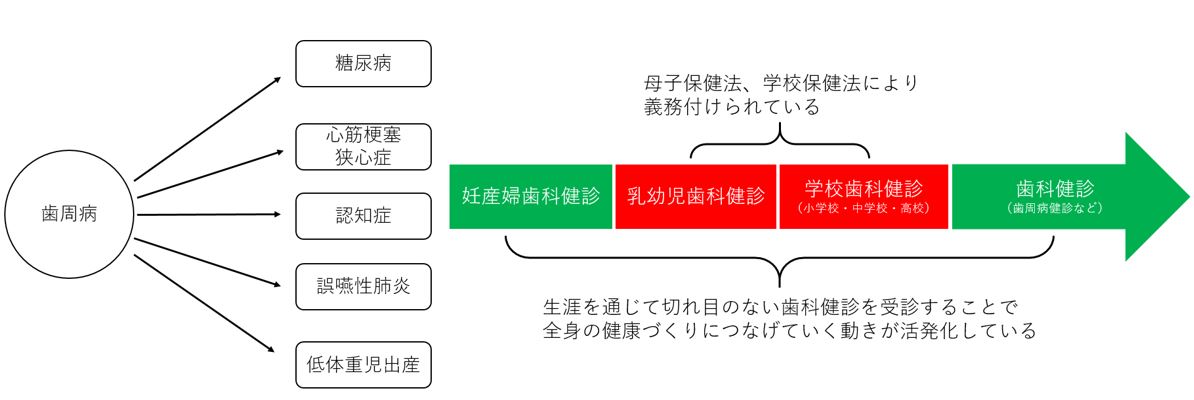 歯科コラム第14回