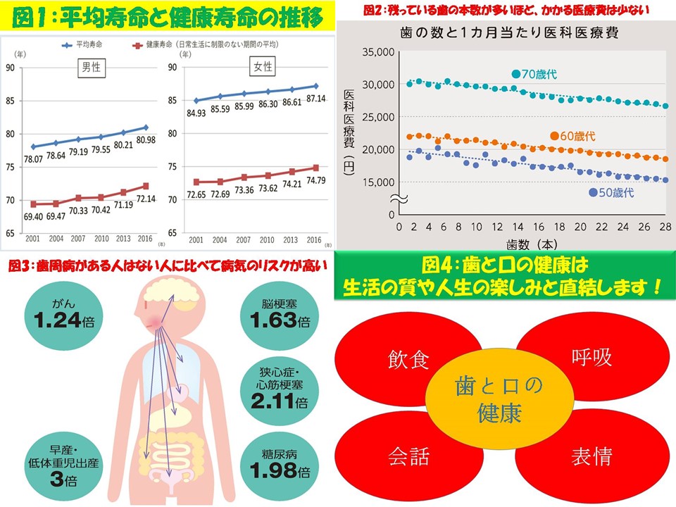 歯科コラム第20回