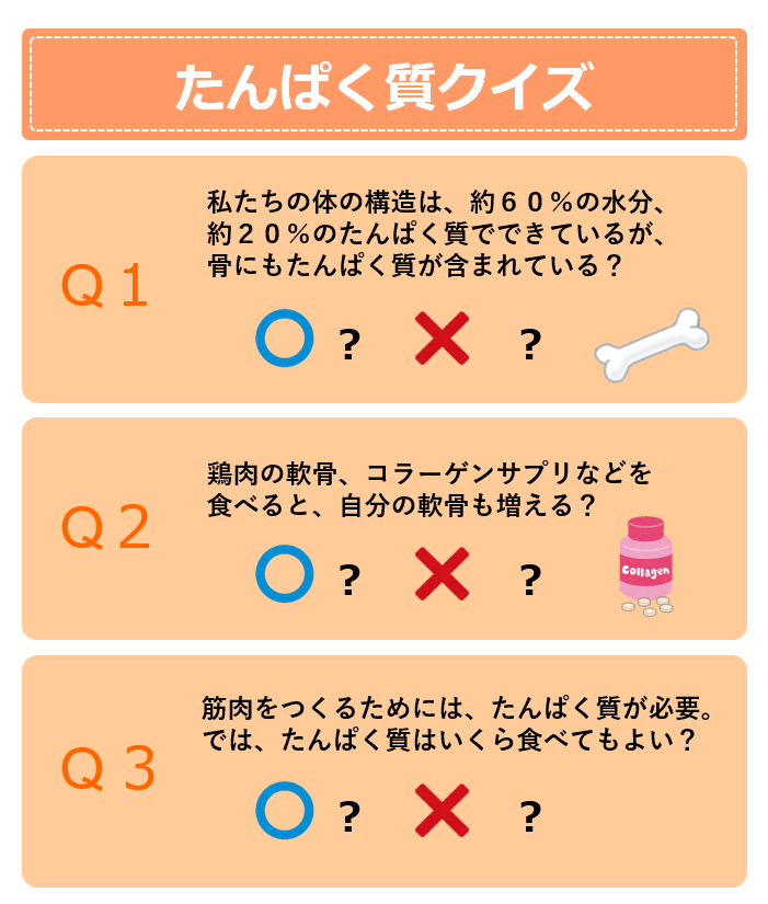 たんぱく質クイズ②