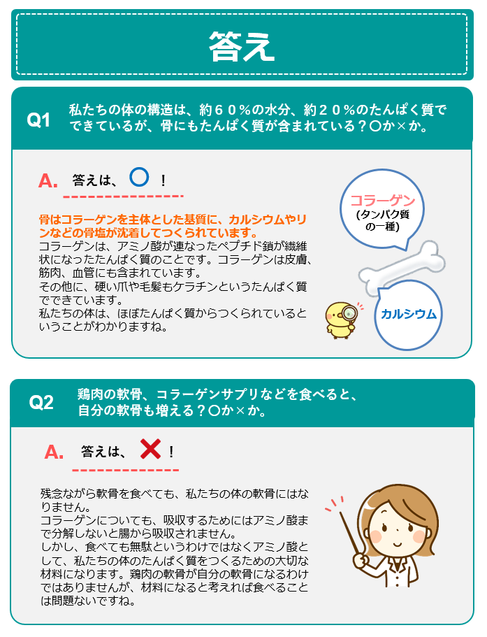 たんぱく質クイズ③