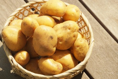 健康コラム 3/6②