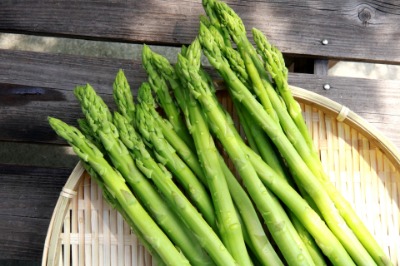 健康コラム 3/6④