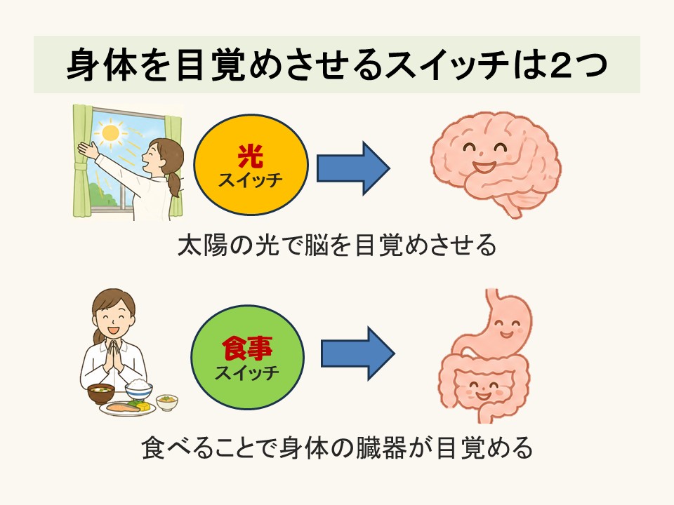早寝 早起き 朝ごはん？（仕事のパフォーマンスを上げるために）2-3