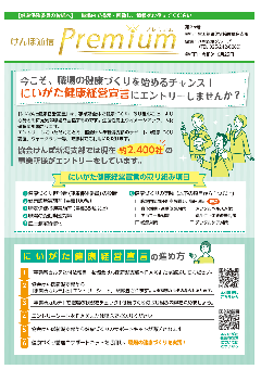 けんぽ通信プレミアム第20号の画像