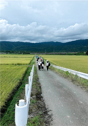 秋の健康ウォーク写真02