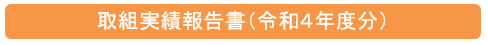 R4報告書タイトル
