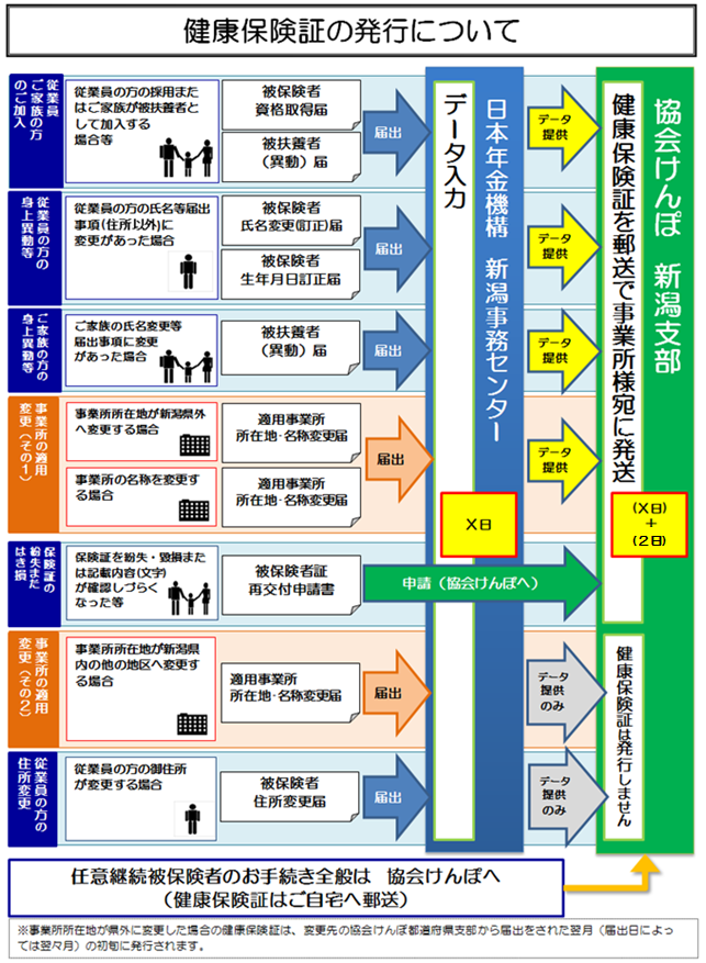 保険証発行までの流れ