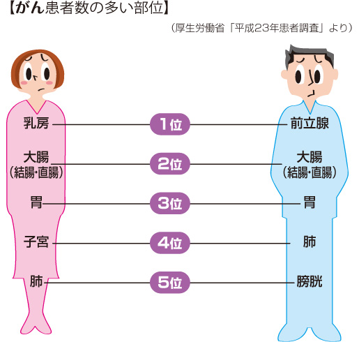 がん患者数に多い部位