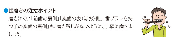 歯磨きの注意ポイント