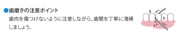 歯磨きの注意ポイント2