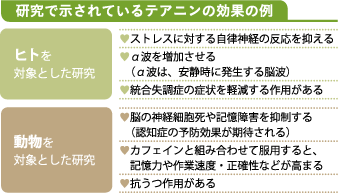研究で示されているテアニンの効果の例