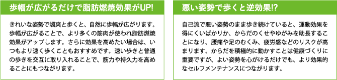 効果