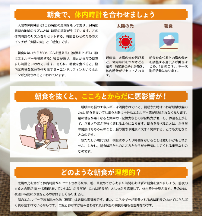 説明文