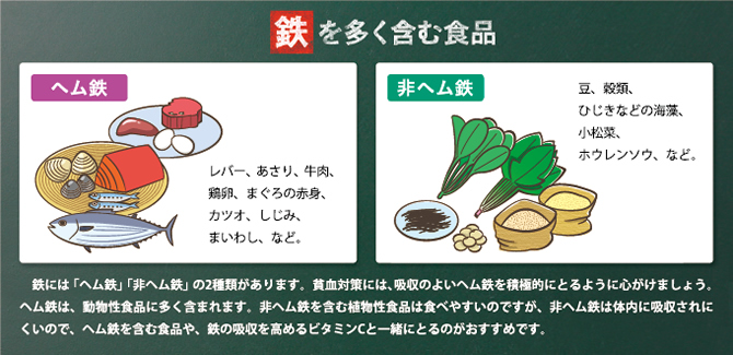 鉄を多く含む食品