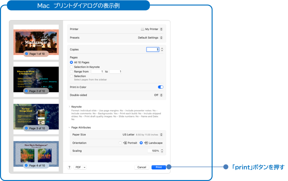 electronic_application/mac_print