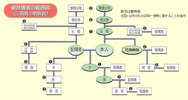 被扶養者の範囲図