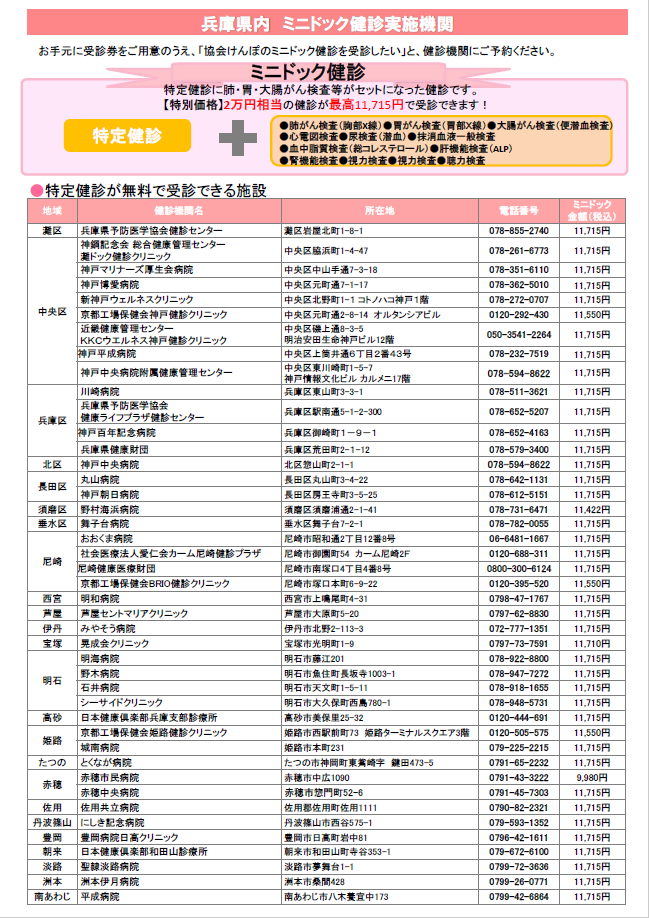 minidoc2R60919