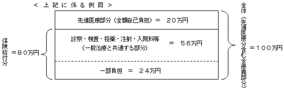 「保険外併用療養費」の画像検索結果