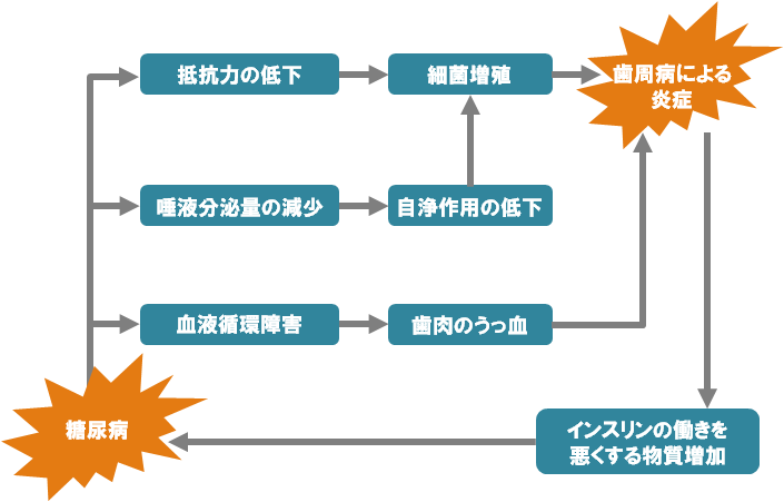 糖尿病と歯周病の悪循環