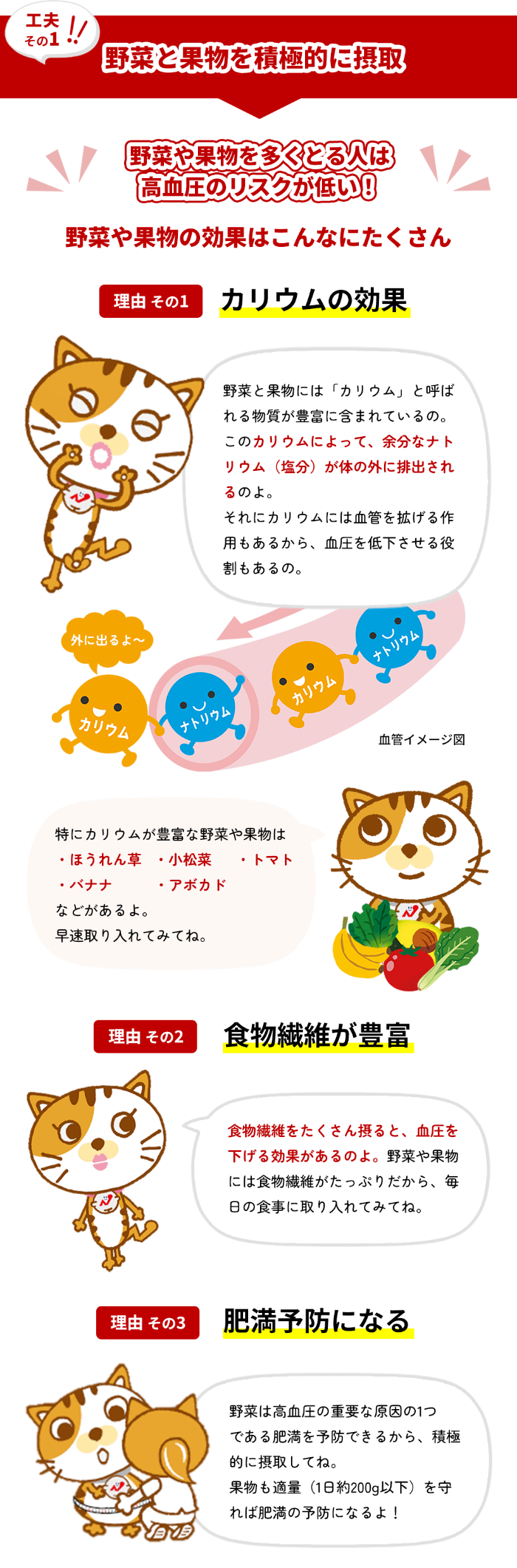 食事⑪