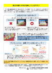 毎日の歯みがきは充実していますか？