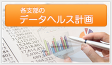 データヘルス計画