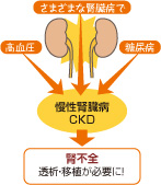 腎臓の病気