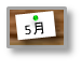 5月